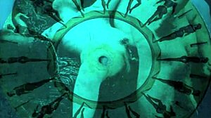 Vintage Erotic Art Collection