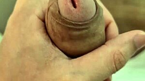 Wow, check my thick rod in anime action!