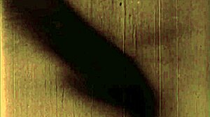 vintage erotic illustration from retro anime?