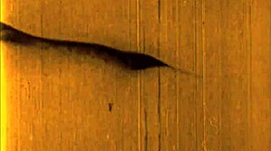 Vintage Erotic Drawings with Retro Charm