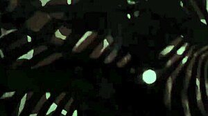 Vintage Erotic Alphabet Drawings Intrigue Viewers