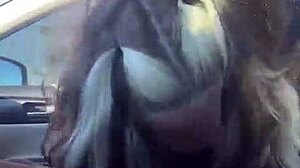 Animeblonde's Italian beauty in hot car head scene