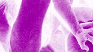 What Secrets Hide in Vintage Erotic Anime Art?