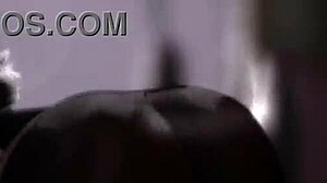 White slut lets me into her room for a fuck