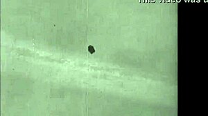 复古色情绘画带有经典感性氛围