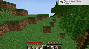 Carlinhos is playing Minecraft