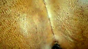 A collection of scenes with an emphasis on anal sex
