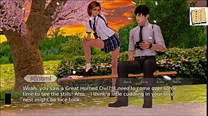 Visual novel with anime art, walkthrough and play as in a game