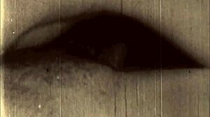 i remember those vintage erotic drawings from the past, they bring back memories