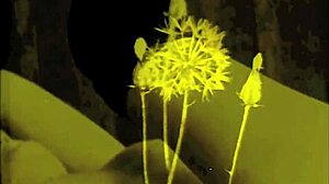 chatting about vintage retro drawings