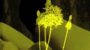 那些复古色情画作感觉如此永恒而迷人