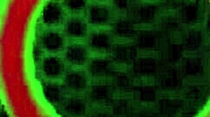 makayla cox, you get all animated with those big tits