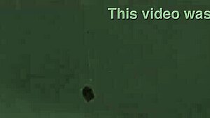 I feel excitement from vintage erotic drawings