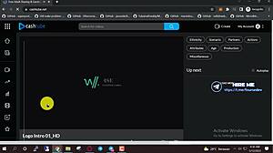 How to Build a Wild Porn Website Fast