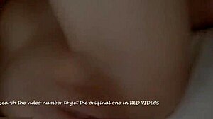 Free Ver Uniformed Babies 0352 showcases asian hentai teen in japanese school outfits