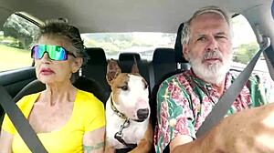 Road Trips on Oahu's Windy Drives