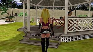 Lula 3D Video Evidence 02