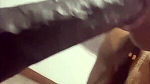 Succubus Sistaz Vol 3?