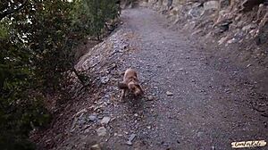 Real Sex Vlog in Forest She Jokes and Swallows Cum!