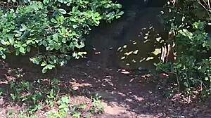 pov wild encounter in public on the beach with oral and lesbian