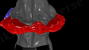 Detailed Brittania Brexit Part 2 Account