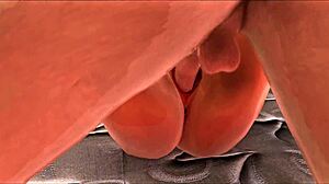 die lehrerin und der student