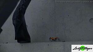 最佳3D动画合集第1部分