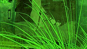 bad grandpa fucks an emo girl in second life 3d porn