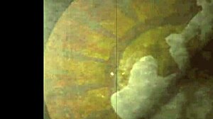 What Makes Vintage Erotic Art Captivating?