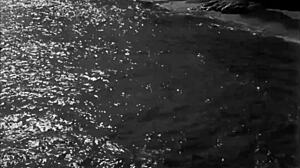 Vintage Erotic Art Collection