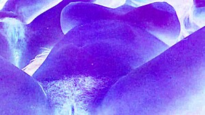 Vintage Erotic Art Collection