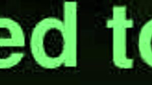 Vintage Erotic Art Collection