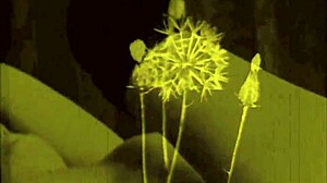 vintage retro drawings collection 😍📜