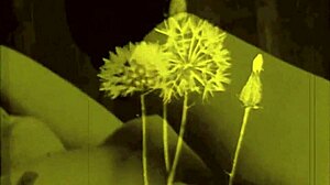 vintage erotic art collection from retro times