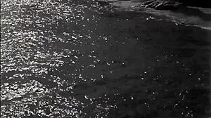 My Secret Life Unfolds in Vintage Erotic Animations