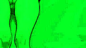 exploring fun in this hentai game